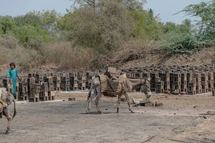 A donkey walking around a dusty brick kiln site.