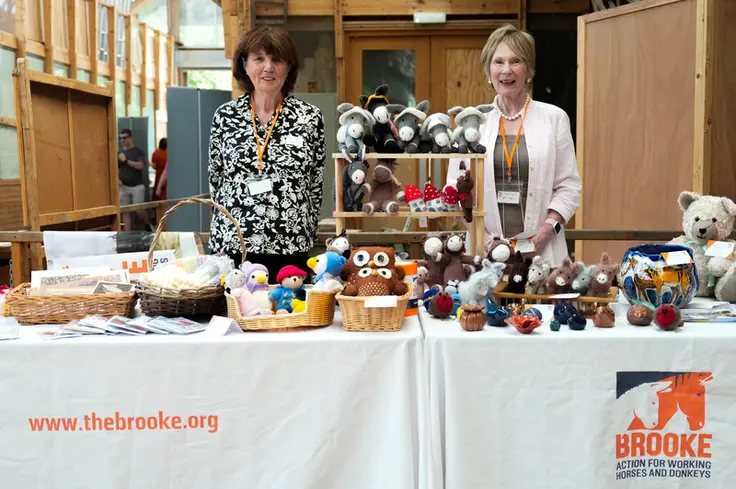 two Brooke volunteers running a craft stall with knitted items