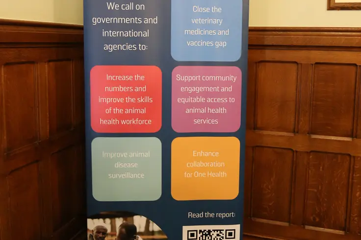 A4AH poster at the parliament event. 