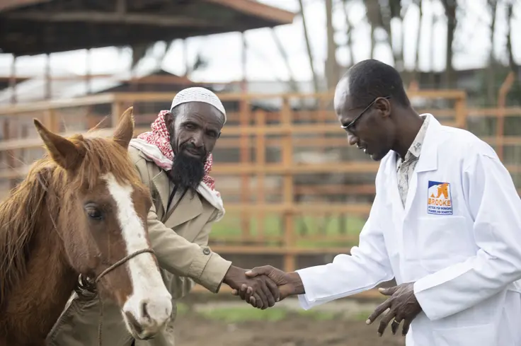 Brooke vets in Ethiopia