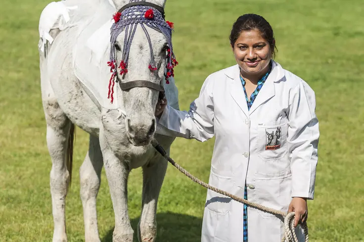 Brooke vet in Pakistan
