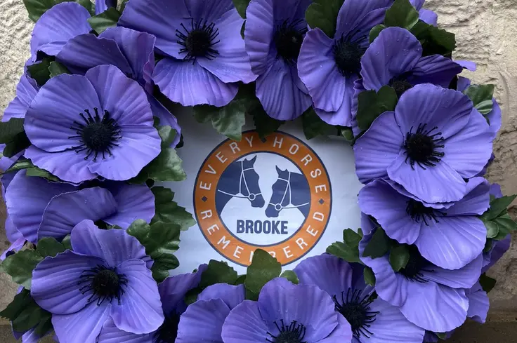 Brooke purple poppy wreath