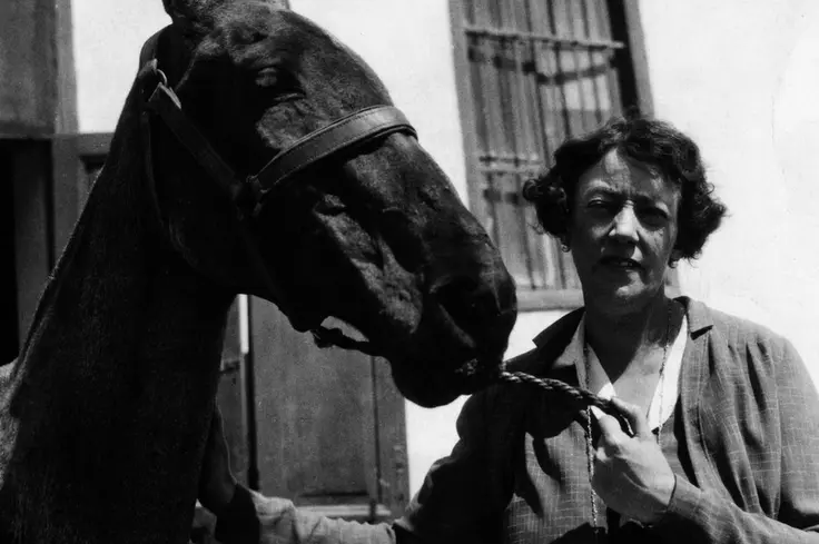 Dorothy Brooke with rescued war horse in Cairo 