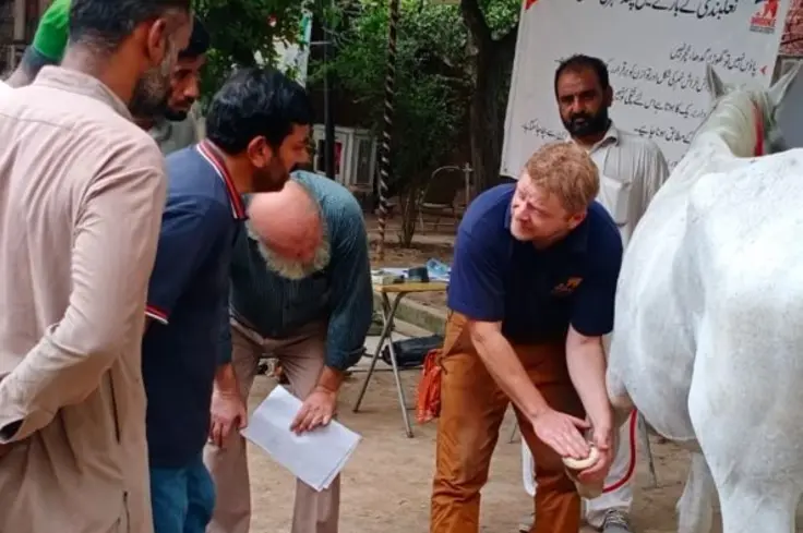 Pakistan landscape.jpg