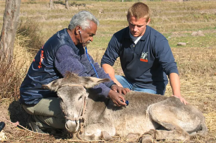 TV vet Dr Scott Miller in Pakistan