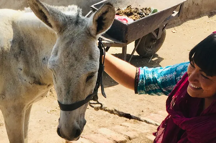 Dr Shereene Williams with donkey in Pakistan. 