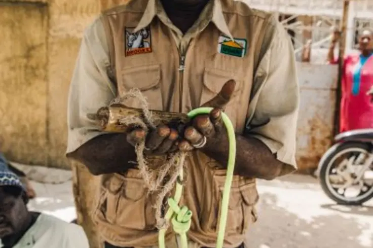 Brooke train equine owners in Senegal