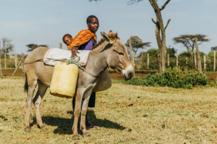 Woman and her donkey in Kenya