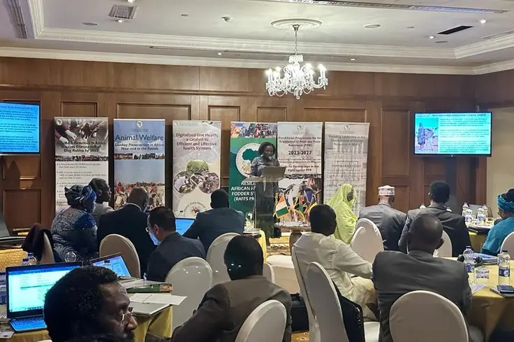 auibar meeting landscape.jpg