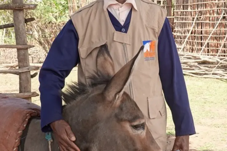 Man with horse in Ethiopia