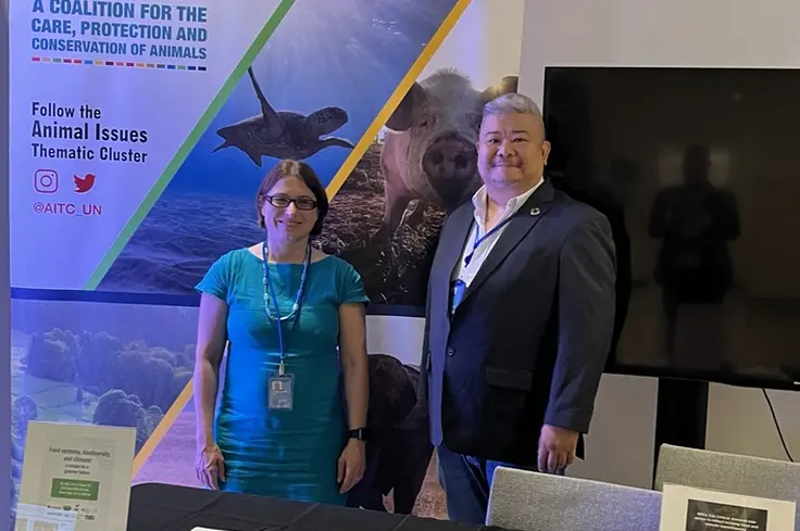 Brooke hosting exhibition at United Nations event 