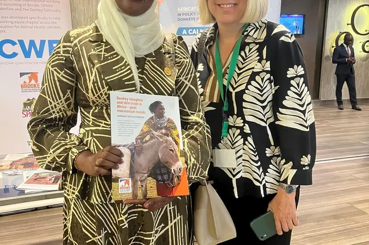 Brooke staff at the Pan African Donkey Conference 2025