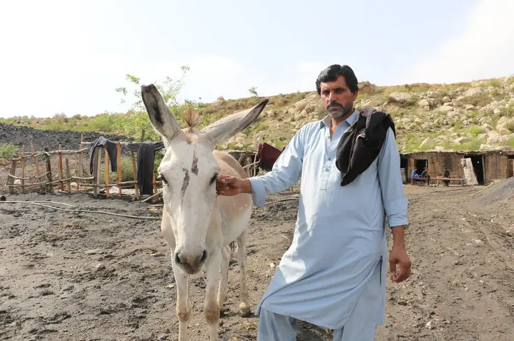 Essa stands with his equid