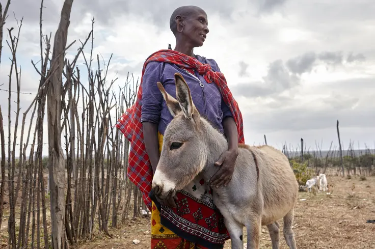 donkey and maasai woman
