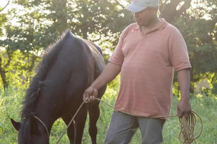 Man leads horse in Nicaragua