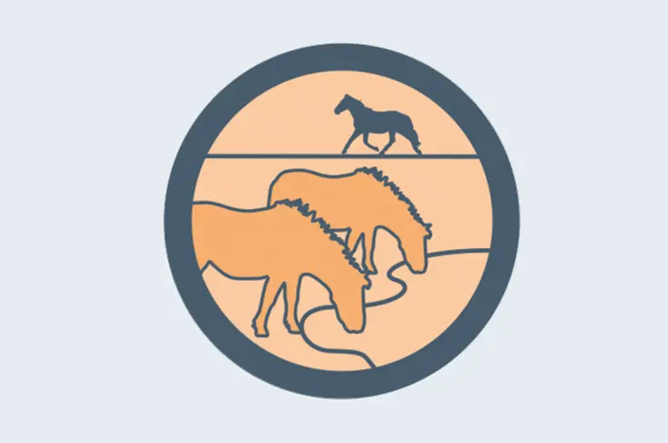 Donkeys stand their ground - illustration