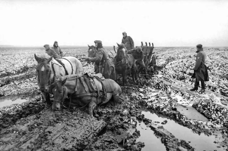 Horse and cart stuck in mud in Russia during WW2. Image:  German Federal Archive