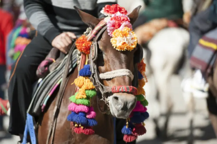 India - tourism.jpg (landscape).jpg